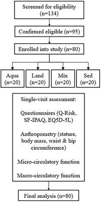 The Association Between Cardiovascular Function, Measured as FMD and CVC, and Long-Term Aquatic Exercise in Older Adults (ACELA Study): A Cross-Sectional Study